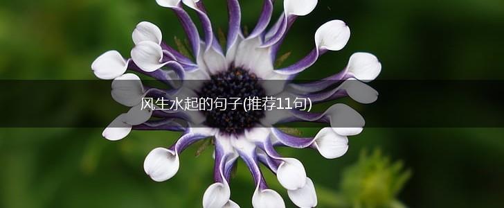 风生水起的句子(推荐11句),第1张