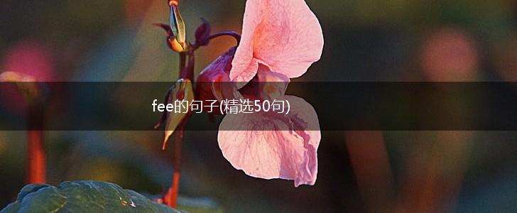 fee的句子(精选50句),第1张