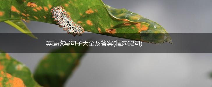英语改写句子大全及答案(精选62句),第1张