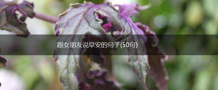 跟女朋友说早安的句子(50句),第1张