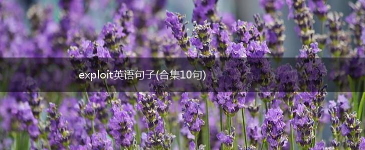 exploit英语句子(合集10句),第1张
