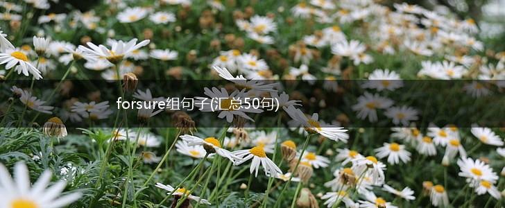 forsure组句子(汇总50句),第1张