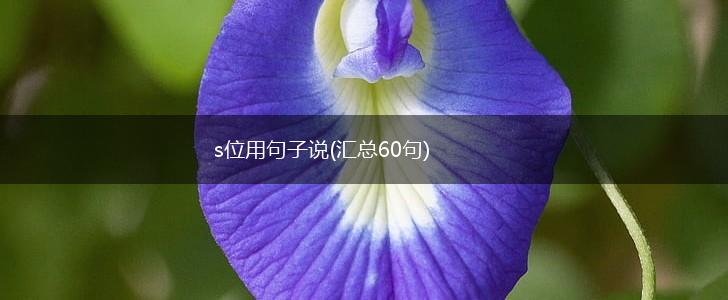 s位用句子说(汇总60句),第1张
