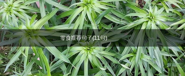 零食推荐句子(11句),第1张