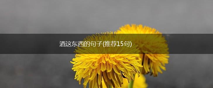 酒这东西的句子(推荐15句),第1张