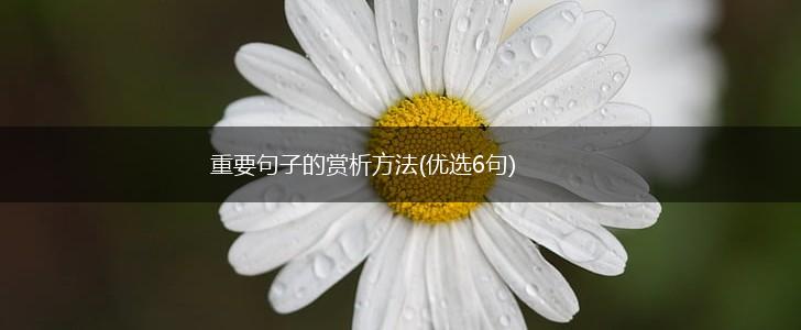 重要句子的赏析方法(优选6句),第1张
