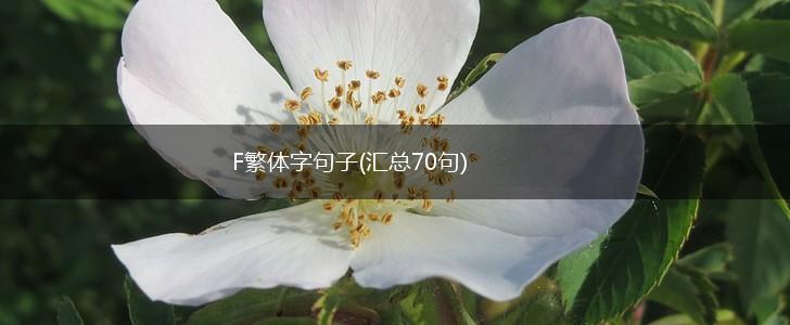 F繁体字句子(汇总70句),第1张