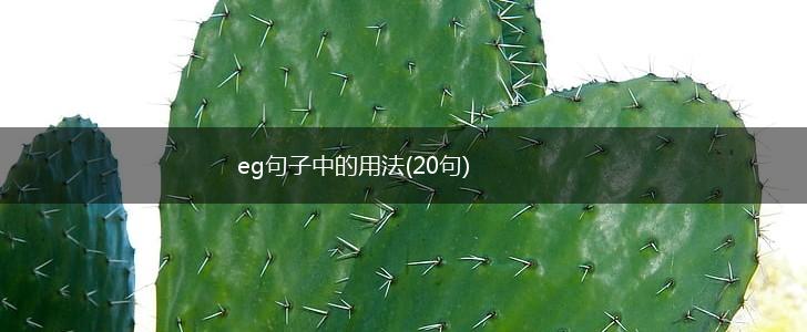 eg句子中的用法(20句),第1张