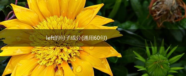 left的句子成分(通用60句),第1张