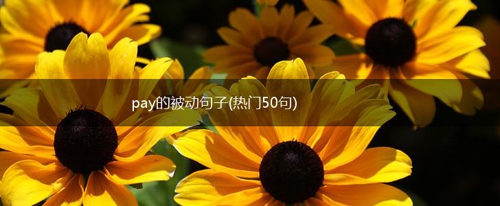 pay的被动句子(热门50句),第1张