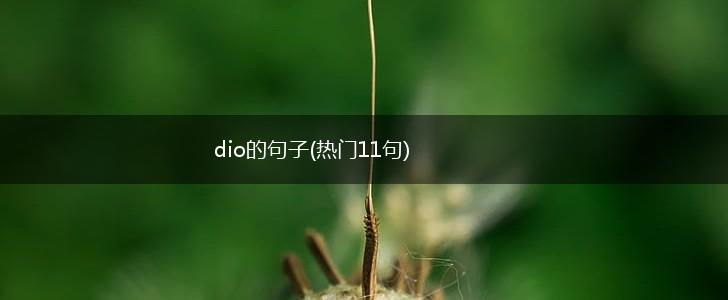 dio的句子(热门11句),第1张