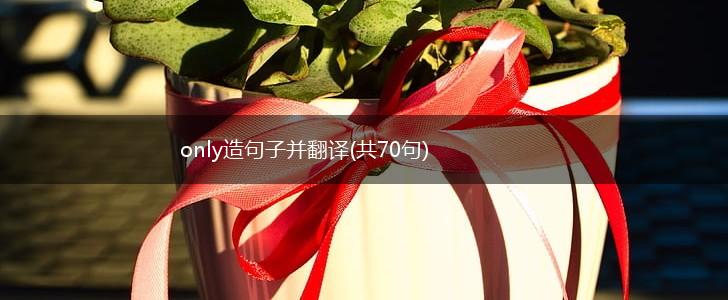 only造句子并翻译(共70句),第1张