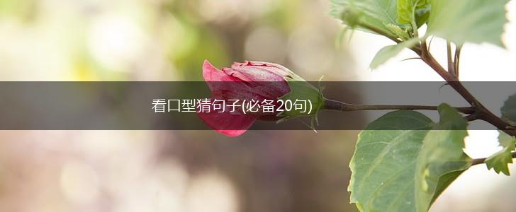 看口型猜句子(必备20句),第1张