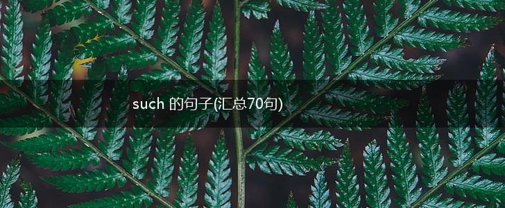such 的句子(汇总70句),第1张