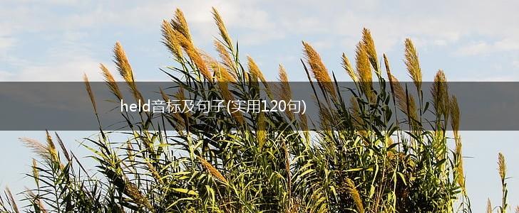 held音标及句子(实用120句),第1张