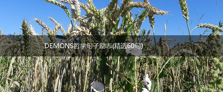 DEMONS哲学句子励志(精选60句),第1张