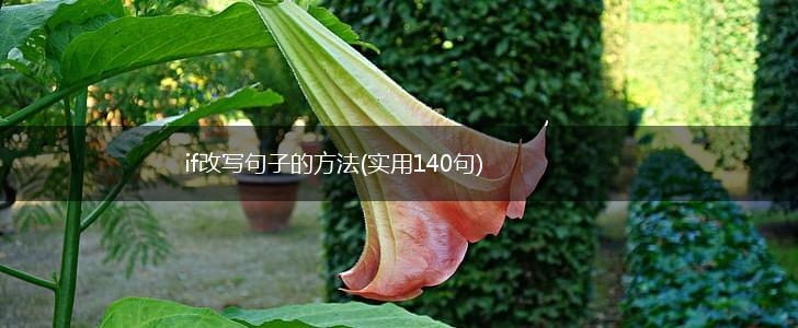 if改写句子的方法(实用140句),第1张