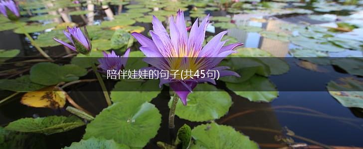 陪伴娃娃的句子(共45句),第1张