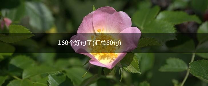 160个好句子(汇总80句),第1张