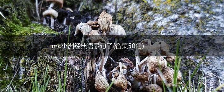 mc小洲经典语录句子(合集50句),第1张
