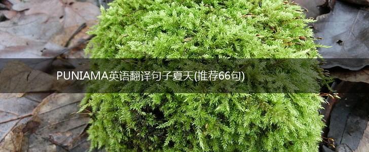 PUNIAMA英语翻译句子夏天(推荐66句),第1张