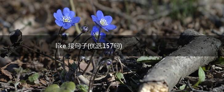 like 接句子(优选157句),第1张