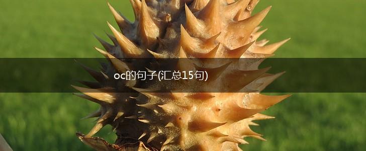 oc的句子(汇总15句),第1张