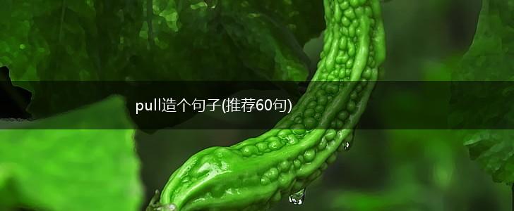 pull造个句子(推荐60句),第1张