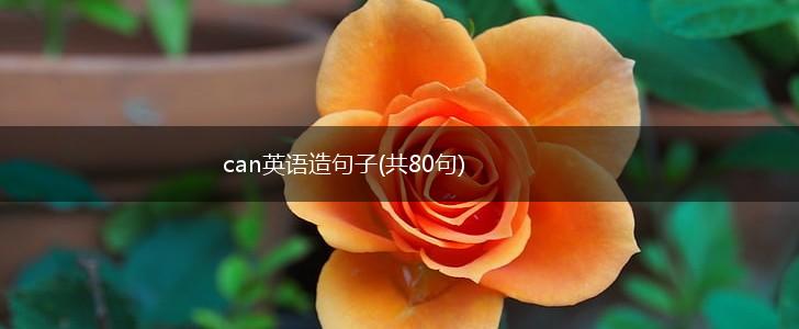 can英语造句子(共80句),第1张