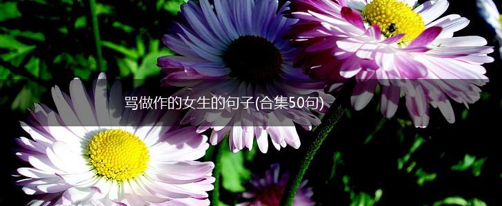 骂做作的女生的句子(合集50句),第1张