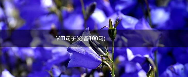 MTI句子(必备100句),第1张