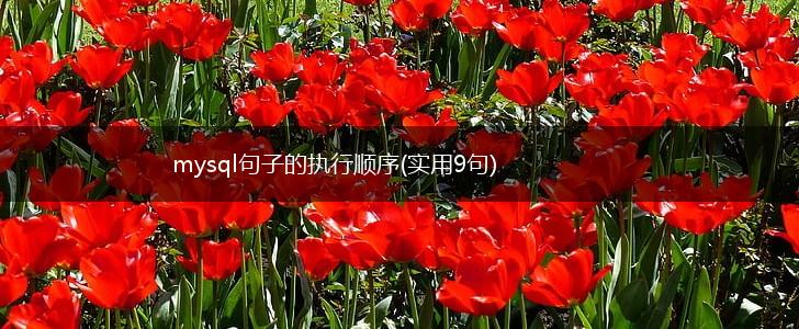 mysql句子的执行顺序(实用9句),第1张