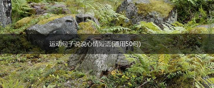 运动句子说说心情短语(通用50句),第1张