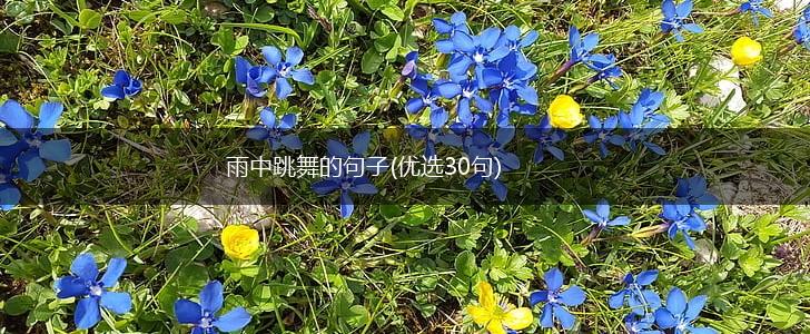 雨中跳舞的句子(优选30句),第1张
