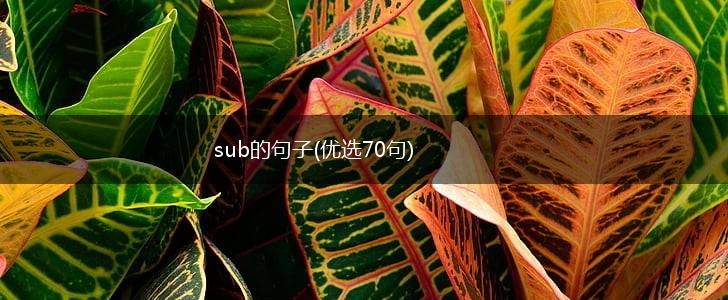 sub的句子(优选70句),第1张