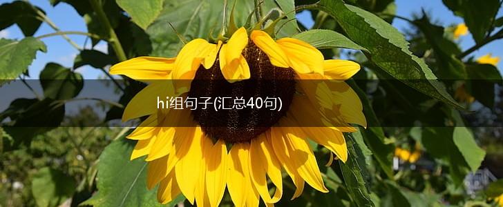 hi组句子(汇总40句),第1张