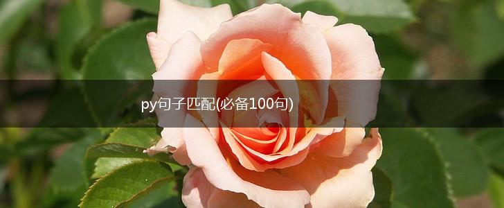 py句子匹配(必备100句),第1张