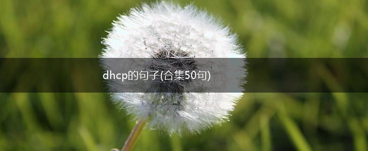 dhcp的句子(合集50句),第1张