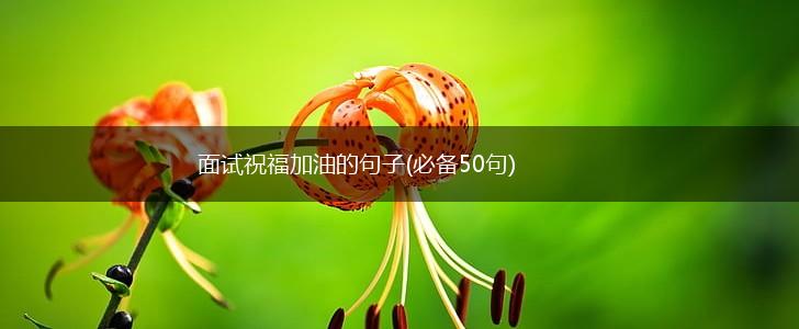 面试祝福加油的句子(必备50句),第1张