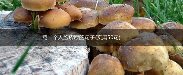 骂一个人脸皮厚的句子(实用50句),第1张