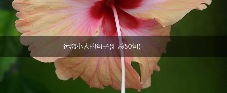 远离小人的句子(汇总50句),第1张
