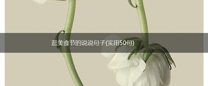 逛美食节的说说句子(实用50句),第1张