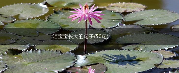 陪宝宝长大的句子(50句),第1张
