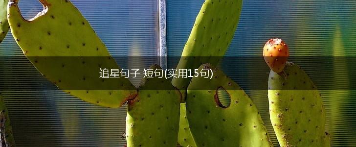 追星句子 短句(实用15句),第1张