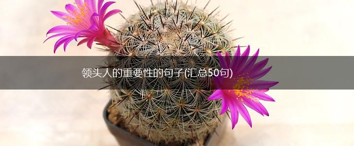 领头人的重要性的句子(汇总50句),第1张