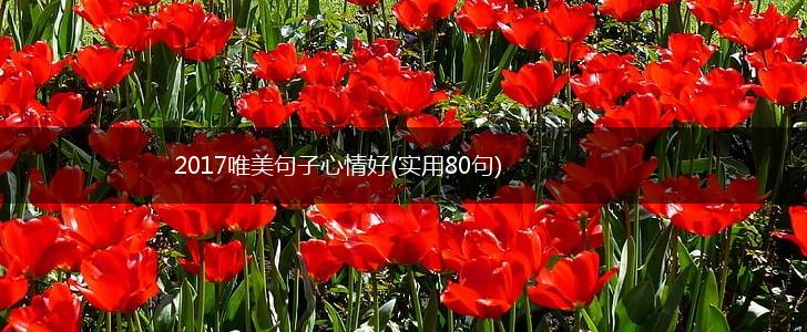 2017唯美句子心情好(实用80句),第1张