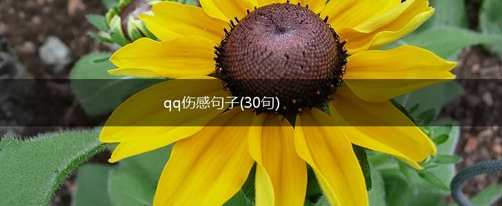 qq伤感句子(30句),第1张