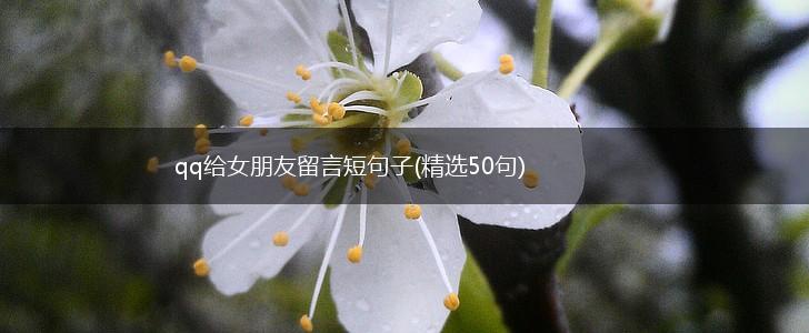 qq给女朋友留言短句子(精选50句),第1张