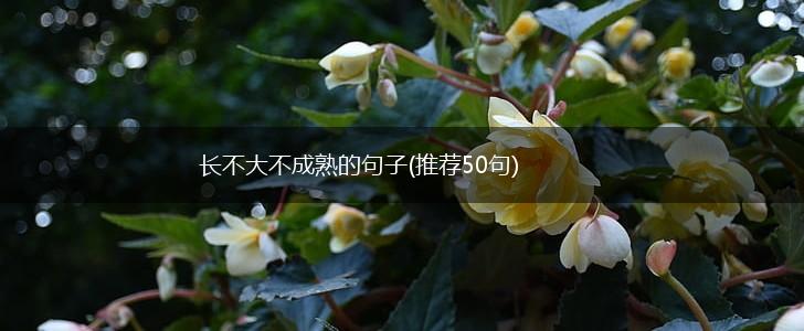 长不大不成熟的句子(推荐50句),第1张