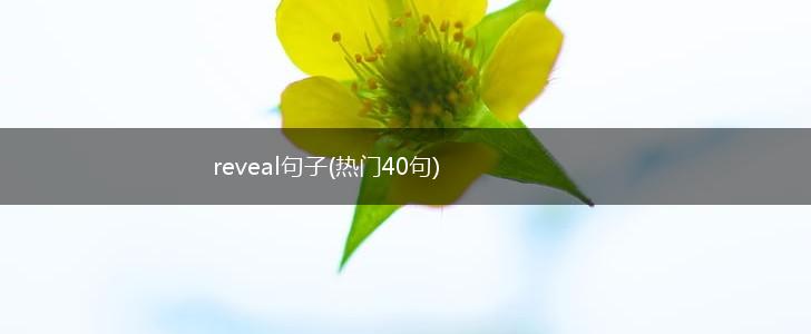 reveal句子(热门40句),第1张